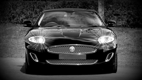 El Poder de un Enfoque Generalista en Tu Bienestar